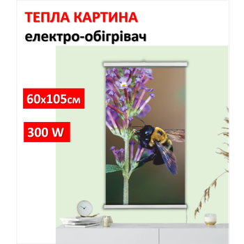 Картина-обогреватель "Шмиль" на пленке Monocrystal 105x60 см 300 Вт