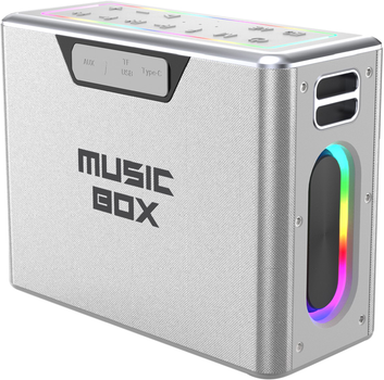 Акустична система Hifuture MusicBox 100W Silver (musicbox.silver)