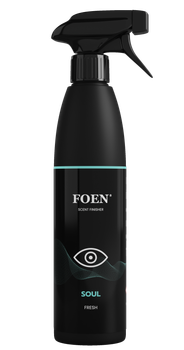 Парфуми для інтер'єру Foen soul 450 мл (5907811375998)