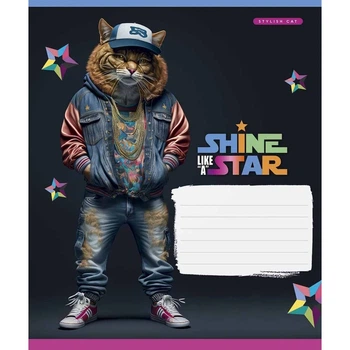Тетрадь ученическая Dance star Школярик 018-3276L 18 л. Разноцветный shop (482000647243603276)