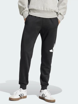 Спортивные штаны утепленные мужские Adidas Essentials Big Logo Fleece IN6147 XL Черные (4067905063840)