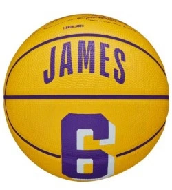 М'яч баскетбольний Wilson NBA PLAYER ICON MINI BSKT LEBRON