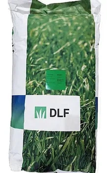 Газонна трава універсальна Робустика / Robustika DLF Trifolium 1 кг (на вагу)