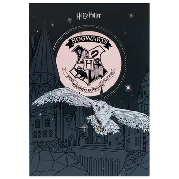 Блокнот-планшет Kite Harry Potter А5 50 аркушів клітинка (hp25-194-1)