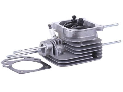 Головка блока в сборе TT AGRO MOTO на бензиновый двигатель P65F (ZS)