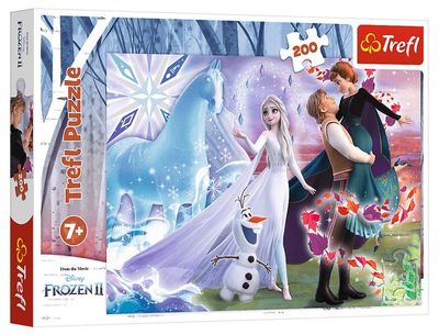 Puzzle Trefl Magiczny świat sióstr Kraina lodu 2 200 elementów 13265 (5900511132656)