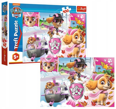 Puzzle Trefl Skye w akcji 100 elementów 16368 (5900511163681)