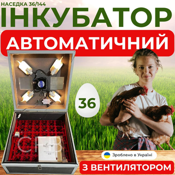 Инкубатор автоматический Наседка 36/144 с автоматическим переворотом на 36 яиц цифровым терморегулятором и вентилятором