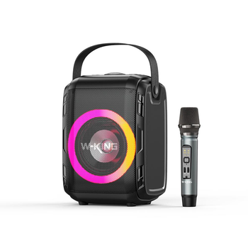 W-KING T9S with Mic 25W Беспроводная портативная колонка с микрофоном RGB Bluetooth Black