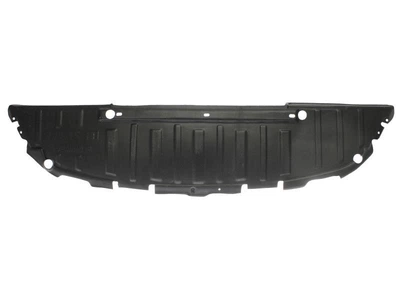 Захист двигуна Renault Scenic II 06-08 (Elit) 7701065820