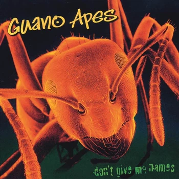 Вінілова платівка Guano Apes – Don’t Give Me Names (LP)