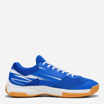 Мужские кроссовки для зала Puma Varion II 10734103 40.5 (7UK) 25.5 см Team Royal/White/Gum (4065454902696)