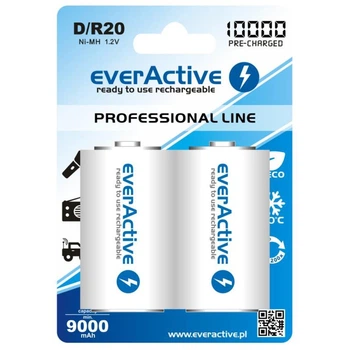 Аккумулятор everActive D/HR20 10000mAh BL 2шт