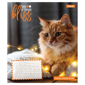 Тетрадь 1Вересня 12 листов линия Bliss