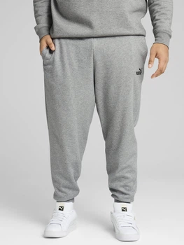 Спортивні штани чоловічі утеплені Puma Essentials Foundation 68260603 S Medium Gray Heather (4067983584817)