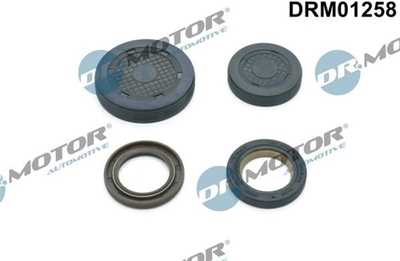 Комплект сальников Dr.Motor (DRM01258)