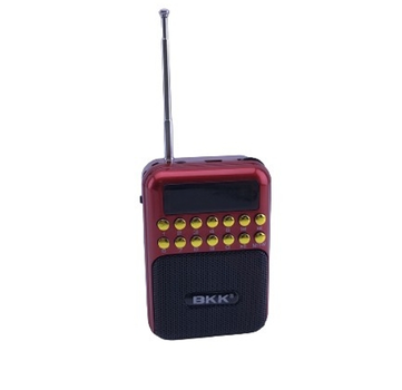 Компактний кишеньковий радіоприймач BBK USB/MP3 B872