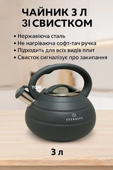 Чайник со свистком Edenberg EB-884I 3 л для газовых и всех типов плит из нержавеющей стали Серый