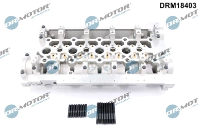 Головка блока Dr.Motor (DRM18403)