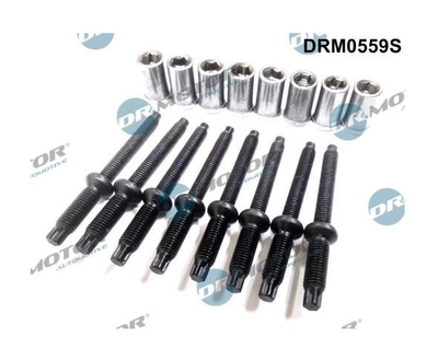 Болт крепления форсунки Dr.Motor (DRM0559S)
