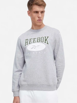 Свитшот мужской Reebok 3W Reebok Classics Big Logo 100036884 S Серый (4066763123611)