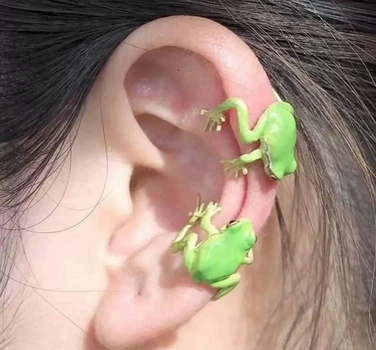 Кафа Жабка