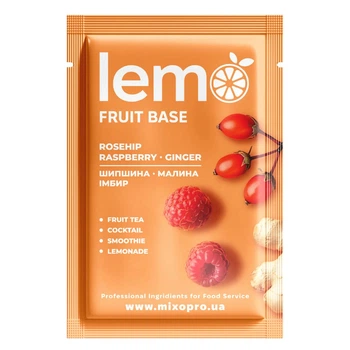 Концентрат Чай LEMO Шиповник-Малина-Имбирь 15 шт.