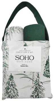 Набор 2 хлопковых полотенца Soho кухонные 40x60 см Christmas (BS 87282C/1)