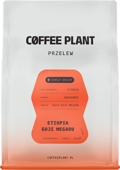 Кава в зернах Coffee Plant Etiopia Guji Megadu Anaerobic Filter 250 г (5904800243177)