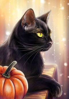 Алмазная вышивка" Черный кот", кошка, радужный,полная выкладка ,мозаика 5d, наборы 30х40 см