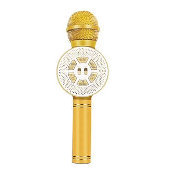Детский караоке микрофон Bluetooth WSTER WS669 с динамиком и колонкой беспроводной микрофон Жёлтый
