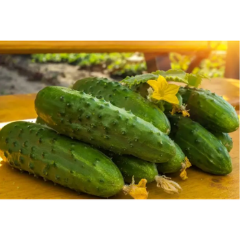 Огурец Феникс 1 г, ТМ Вкусный