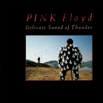 Pink Floyd – Delicate Sound Of Thunder (1988) 2 Audio CD (импорт, буклет)