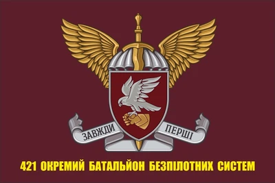 Флаг 421 отдельный батальон беспилотных систем ДШВ, 90х60 см, 1347_14-100