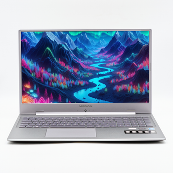 Ноутбук 17,3" Medion (Lenovo Group) Akoya E17201 Intel RAM 8 ГБ SSD 256 ГБ Intel Graphics Метал FullHD IPS б/в Win10 (4377)