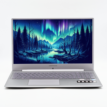 Ноутбук 17,3" Medion (Lenovo Group) Akoya E17201 Intel RAM 8 ГБ SSD 512 ГБ Intel Graphics Металевий корпус б/в Win10 (4410)