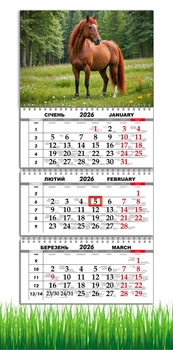 Календар настінний квартальний на 2026 рік на три пружини , Apriori, рік Коня, Кінь, символ року Кінь,Horses , 29,7х61см , 26 вид
