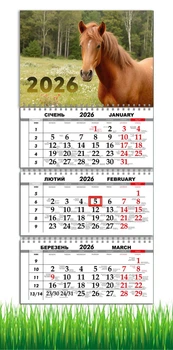 Календарь настенный квартальный на 2026 год на три пружины, Apriori, год Лошади, Лошадь, символ года Лошадь, Horses , 29,7х61см , 27 вид