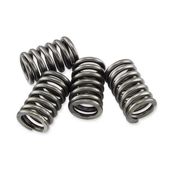 Пружини кошика зчеплення EBC CSK208