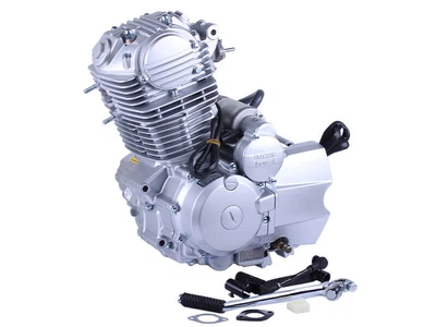 Двигун CB 200СС TT AGRO MOTO на мотоцикл Minsk/Viper 200j (з повітряним охолодженням, бензиновий) 13.9 к.с