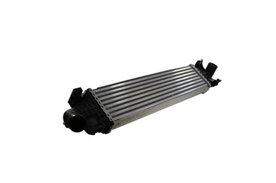 Интеркулер THERMOTEC DAG002TT Ford Focus 1231015, 1316496, 1353523