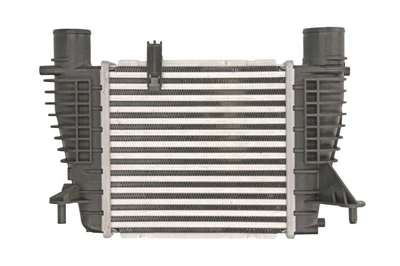 Интеркулер THERMOTEC DA1003TT Nissan Juke; Renault Clio 144619U20A, 14461EM00A, 8200170504