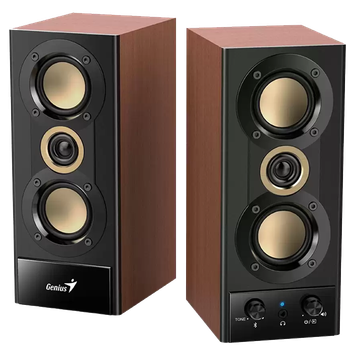 Акустика SP-HF800 BT Genius (2000003347797)