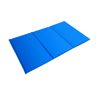 Охлаждающий коврик для котов Pet Cool Mat – гелевый комфорт в жару Синий 30*40 см