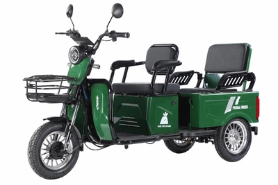 Триколісний електроскутер Ferma Rider 2000W (ЗЕЛЕНИЙ)