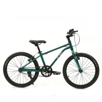 Велосипед дитячий двоколісний Profi MB 20LIGHTY RAIN FOREST (колеса: Ø20"/резина, рама: алюміній, гальма: ободні)