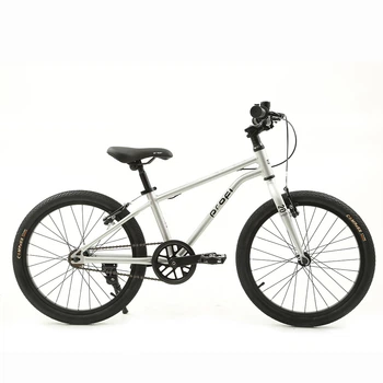 Велосипед дитячий двоколісний Profi MB 20LIGHTY SILVER (колеса: Ø20"/резина, рама: алюміній, гальма: ободні)