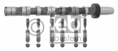 FEBI VW вал розподільчий з рокерами та штовхачами Audi A4/6/8,Passat,Skoda SuperB I 2.5TDI Febi Bilstein (29920)