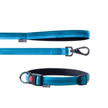 Набор "Soft Style", XL, поводок+ошейник, поводок (ширина: 2,5 см, длина: 120 см, нейлон, синий), ошейник (ширина - 2,5 см, длина - 40-64 см, синий)