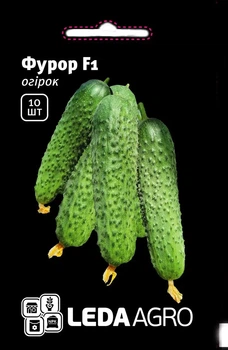 Огірок Фурор F1 букетний Yuksel seeds/Туреччина 10 шт